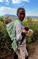 /album/fotogaleria-madagaskar-zajazd-vy-a-my1/madagaskar-zajazd-132-jpg2/